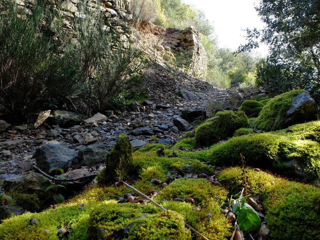 Les Ilhes La Maison Du Voyageur المظهر الخارجي الصورة